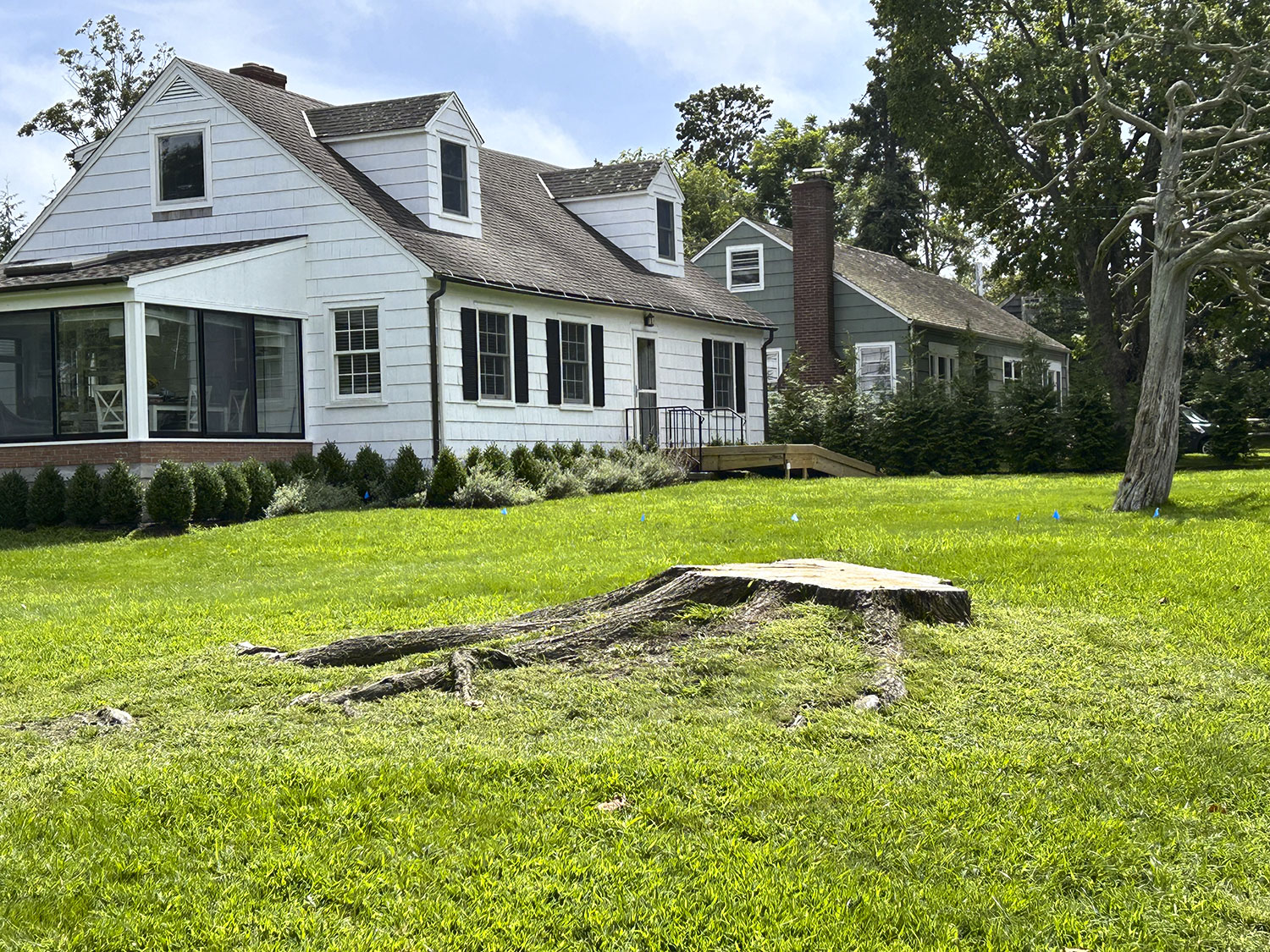 Precedent on tree protection law in Sag Harbor