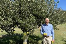 After a walk through the orchard, Robert Hefner brought out to his back porch his two-volume set of "The Apples of New York" and a platter of Grimes Golden and Cox's Orange Pippin slices.