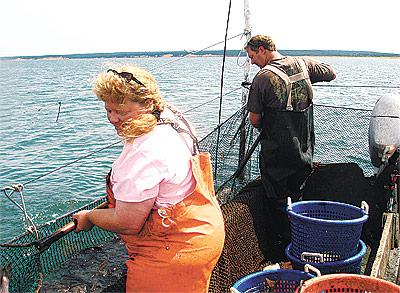 Shortly after being arraigned for alleged fishing infractions a week ago, Kelly Lester and Paul Lester tended their pound traps off Napeague.