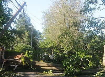 High winds brought trees down, which brought power lines down, which meant long outages for some.