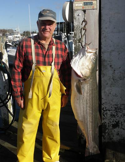 Eric Linsner used a live eel to catch this 581/2-pound striped bass off Montauk Point on Saturday.