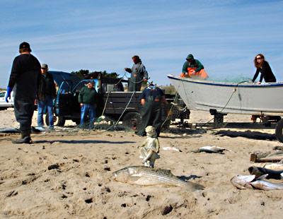 Paul Lester and crew, with the help of their good luck statue, foreground, had a good day of fishing at Wiborg’s Beach on Monday.