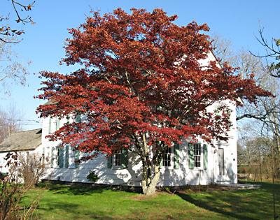 The 1792 Stephen Sherrill house in East Hampton has been suggested as a site for public purchase and use as a “history center.”