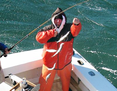 You know it’s almost Thanksgiving when the herring begin to bite just outside the Montauk Harbor Inlet.