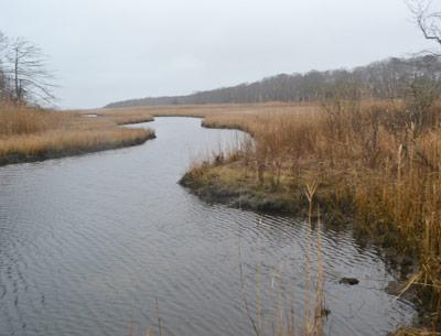 The Old Sag Harbor Road once crossed a bridge over a narrowed portion of Little Northwest Creek. Post ends visible in the water may be the remains of the span.