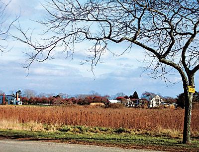 Acreage at the end of Cove Hollow Farm Road will be put into a conservation easement and protected in an agreement between the S.A.M. Trust, the Peconic Land Trust, and the Village of East Hampton.