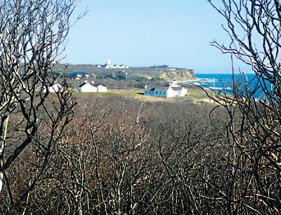 A new trail system winds through Montauk’s Amsterdam Beach Preserve and reaches the Atlantic Ocean in dramatic fashion.