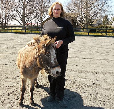 Barbara Bornstein of Sagaponack, seen here with her Sicilian burro, Peso, is a member of the East End Ass Whisperers.