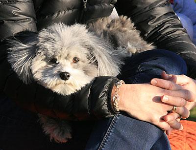 Go Bonac! A frequent spectator at the softball team’s games here is Maizy Waleko.