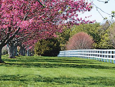 Homeowners have been told to limit fertilizer use, which has contributed to poor water quality, shellfish declines, and contamination of swimming areas.