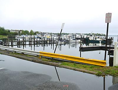 Runoff with high nitrogen levels is part of the reason for a ban on shellfish enacted in Sag Harbor Cove.