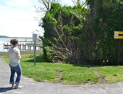 A one-man alleged crime wave ended with a crash in this bucolic waterside stand of boxwoods on Shelter Island.