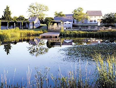 Among the gardens on the tour will be that of Gus and Liz Oliver in Sagaponack, designed by Edwina von Gal.