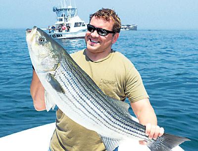 Mike Tuscano of Amagansett hefted a fat striped bass he caught while light-tackling with Capt. Ken Rafferty near Big Gull Island a week ago.