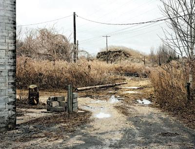 Adam Bartos’s “East Hampton, NY,” from 2010, will be included in a new show at the Parrish Art Museum in Southampton.