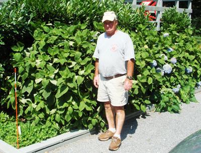 On Tuesday, Tony Minardi stood beside plants saved from the jaws of deer by a spray he has invented, and will soon be marketing.