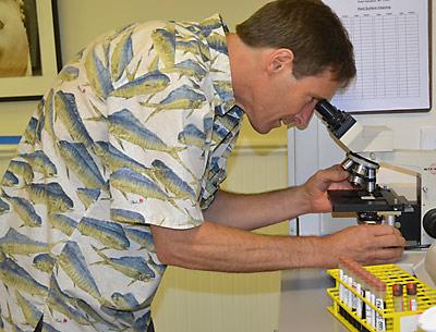 Dr. George Dempsey examined cells under a microscope last month in his East Hampton office. He has indicated a need for more participants in an international study on tick-related diseases.