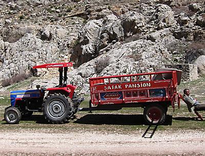 There were no roads so the botanists hired a tractor in the Taurus Mountains of Turkey. The driver is seen taking a break in the Emily Valley.