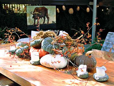 Halloween-themed food gets a big boost from a season-appropriate centerpiece of squash, gourds, and a creepy spider.