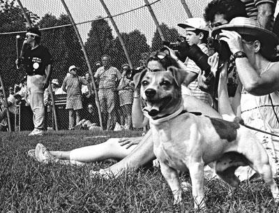 Emotions always run high at the Artists-Writers Softball Game. Eric Ernst is in the on-deck circle.