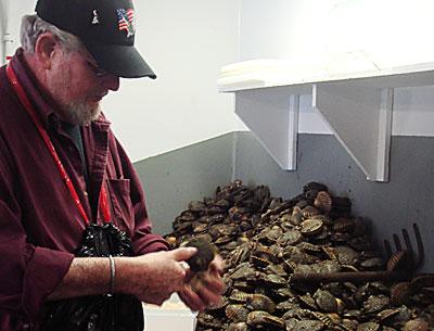 Jimmy Lester shucked scallops at the Lester shucking shack off Abraham’s Path in East Hampton on Tuesday, the day after the season opening in town waters.