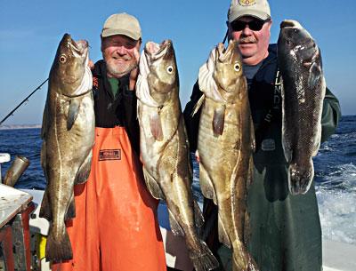 Gary Thompson, left, and his brother Don presented three cod and blackfish they caught on Monday aboard the charter boat Blue Fin IV.