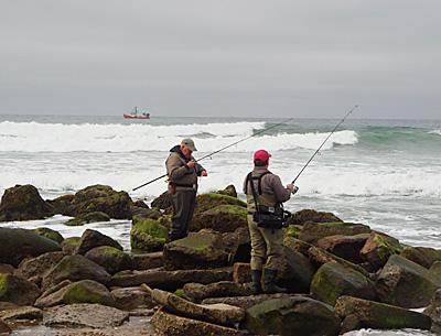 Surfcasters worked the broken jetty at Ditch Plain for striped bass on Monday morning as a dragger towed for fluke offshore.