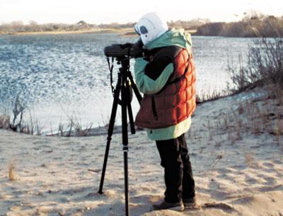 Karen Rubenstein took aim at a raft of geese on Hook Pond on Saturday as part of the New York State Ornithological Association’s mid-winter duck count.