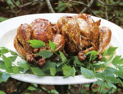 Lee Bailey’s lovage and apple stuffed roasted chicken, from his book “Country Weekends,” is one of the writer’s favorite chicken recipes.