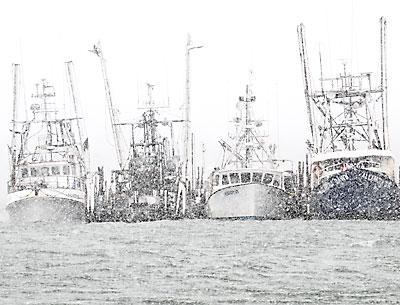 Commercial fishermen oppose to a bill they say would lead to increased fishing pressure and glutted markets.