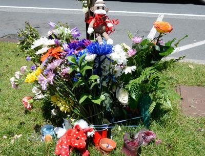 Flowers, candles, and stuffed animals have been placed at the roadside near the spot where Anna was hit and classmates and friends have been visiting it over the past few days.