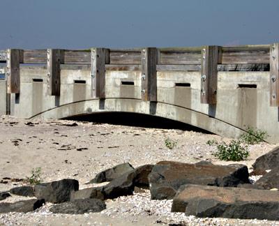 A culvert on Gerard Drive in Springs, built to increase tidal flushing of the north end of Accabonac Harbor, was not opened this year for the first time since its completion in 2006.