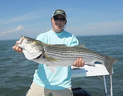 Michael Salzhauer caught this striped beauty while fishing with Capt. Ken Rafferty on the south side of Montauk Point at the spot known as Caswell’s on Saturday.