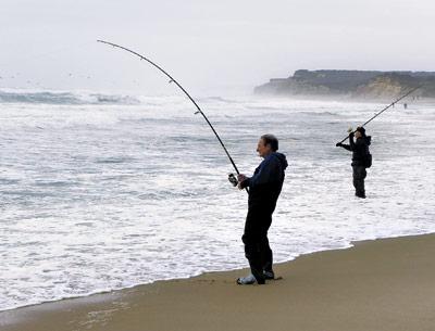 Surfcasters had to work for their catch on Friday, as a large ocean swell was pushed sideways by a 20-knot southwest wind, but big bass in the 20-to-30-pound range were the payoff.