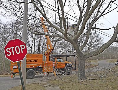 Tree-trimming work has begun in Montauk to meet new clearance standards for power transmission lines. PSEG Long Island has contracted the work to private companies.