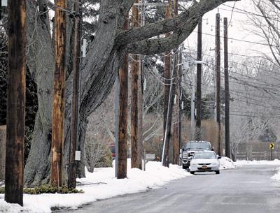 Local officials, including East Hampton Town Supervisor Larry Cantwell and Assemblyman Fred W. Thiele Jr., are seeking Governor Andrew Cuomo’s intervention to halt PSEG Long Island’s transmission upgrade.