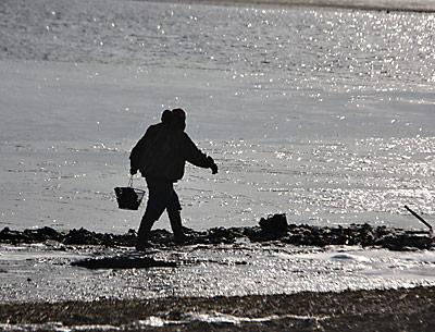 The East Hampton Town Trustees’ 2013 water-quality test results will be presented on March 19 at 6 p.m. at Town Hall.