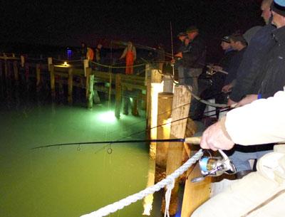 Squidders lined a dock in Montauk as their lamps lighted the water below.