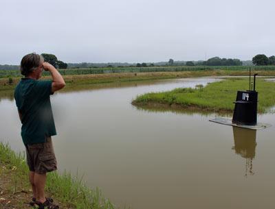 Randy Parsons, who keeps a close eye on East Hampton farmland from his office at the Nature Conservancy, saluted the simulated submarine conning tower that has floated in a drainage basin off Route 114 since the spring.