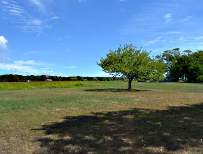 Maintaining this view from Wainscott Hollow Road toward Sayre’s Path has been a key concern of the East Hampton Town Planning Board as it reviews a subdivision application for 40 acres of former farmland there.