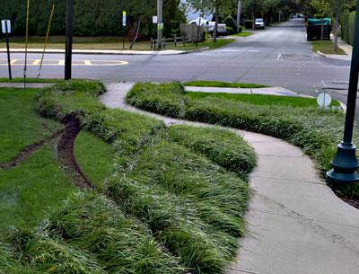 Skid marks from the pickup truck Christopher S. Verity drove onto the lawn of the Bridgehampton National Bank in East Hampton Monday morning extended across Gingerbread Lane and at least 20 yards down Church Street.