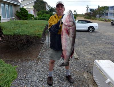 Bob Howard reeled in a 46-inch striped bass weighing 39 pounds early Tuesday, putting him in first place in the Montauk SurfMasters tournament’s wader division.