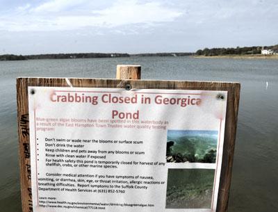 The pond has been closed to crabbing since July.