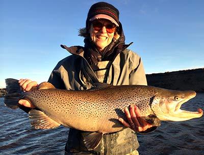 The brown trout Patti Ferrin held proudly, before she released it, weighed 17 pounds.