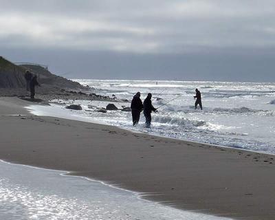 Surfcasters have been working the regular spots, including the short jetty in front of the old East Deck Motel in Montauk.