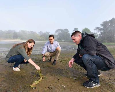 Christopher Gobler of Stony Brook University, center, along with Jennifer Jankowiak and Ryan Wallace, graduate students, will conduct research on Georgica Pond’s water quality.