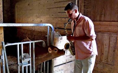 John Ludlow warmed up before the Shelter Island Jazz Fest at his family’s dairy farm in Bridgehampton on Monday.