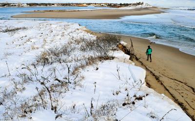 Georgica Pond is the focus of a new effort to reverse the effects of pollution.