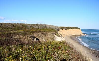 Views like this one of the Montauk bluffs have been preserved from development thanks to many efforts and sources of funding, including the Peconic Bay Region Community Preservation Fund.