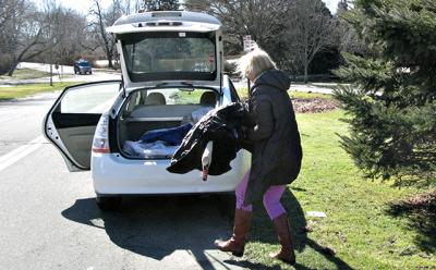 A swan rescue.